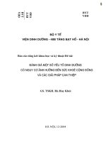 đánh giá một số yếu tố dinh dưỡng có nguy cơ ảnh hưởng đến sức khoẻ cộng đồng và các giải pháp can thiệp