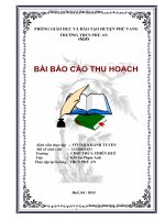 Báo cáo thực tập tốt nghiệp sinh viên sư phạm