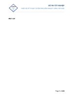 THIẾT KẾ KỸ THUẬT TUYẾN ỐNG DẪN GASLIFT GIÀN HST HSD