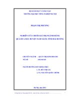 Nghiên cứu chuỗi giá trị ngành hàng quả dưa hấu huyện nam sách, tỉnh hải dương