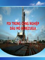 quản trị kinh doanh quốc tế, bài tập fdi trong công nghiệp dầu mỏ venezuela