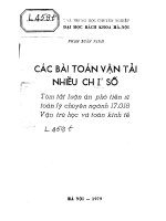 các bài toán vận tải nhiều chỉ số