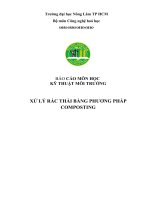 BÁO CÁO KỸ THUẬT môi TRƯỜNG  xử LÝ RÁC THẢI BẰNG PHƯƠNG PHÁP COMPOSTING