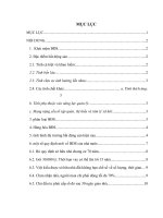 tiểu luận tìm hiểu thị trường bất động sản tại việt nam