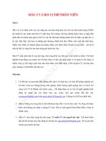 Mẫu CV cho vị trí nhân viên