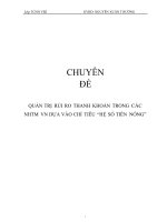 Quản trị rủi ro thanh khoản trong các NHTM VN dựa vào chỉ tiêu hệ số tiền nóng