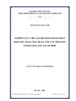 nghiên cứu chế tạo bộ sinh phẩm phát hiện hiv bằng dot blot với các protein gp120, gp41, p24 tái tổ hợp