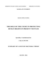THE ROLE OF THE COURT IN PROTECTING HUMAN RIGHTS IN PRESENT VIETNAM