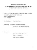 THE ROLE OF HUMAN CAPTITAL IN SUSTAINABLE POVERTY REDUCTION IN VIET NAM