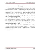 kế toán tiền lương tại Công ty TNHH MTV Gỗ Việt