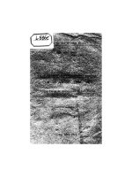 tính cụ thể và tính trừu tượng của từ và từ tiếng việt