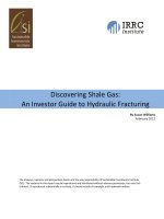 Discovering shale gas   an investor guide to hydraulic fracturing