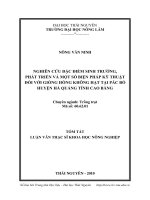 nghiên cứu đặc điểm sinh trưởng, phát triển và một số biện pháp kỹ thuật đối với giống hồng không hạt pác bó tại huyện hà quảng, tỉnh cao bằng