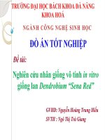 SLIDE Nghiên cứu nhân giống vô tính in vitro giống lan Dendrobium Sena Red