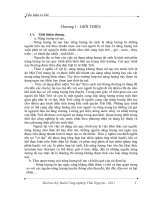 năng lượng gió  Năng lượng tái tạo