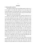 Báo cáo thực tập chính sách xã hội