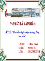 Tìm hiểu và giới thiệu các hợp đồng bảo hiểm