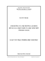 ảnh hưởng của thị trường lao động đến sự lựa chọn nghề của học sinh thpt tỉnh bắc giang