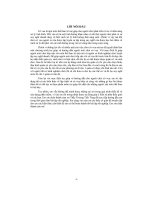 đề tài phần mềm giúp người mới chơi cờ vua