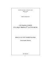 Các dạng cơ bản của mặt trong En và ứng dụng khóa luận tốt nghiệp