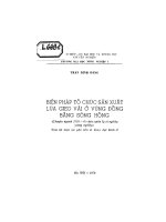 biện pháp tổ chức sản xuất lúa gieo vãi ở vùng đồng bằng sông hồng