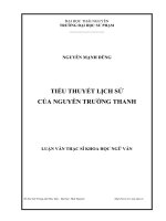 tiểu thuyết lịch sử của nguyễn trường thanh