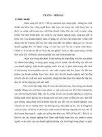 Phân tích tình hình tiêu thụ sản phẩm tại Công ty cổ phần Thực phẩm xuất khẩu Đồng Giao