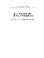 BÁO CÁO KỸ THUẬT môi TRƯỜNG xử LÝ nước thải sinh hoạt