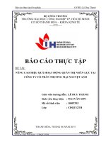 NÂNG CAO HIỆU QUẢ HOẠT ĐỘNG QUẢN TRỊ NHÂN lực tại CÔNG TY cổ PHẦN THƯƠNG mại NGUYỆT ANH