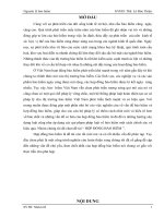 TÌM HIỂU VỀ HỢP ĐỒNG bảo HIỂM