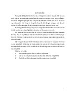 đề tài cơ sở lý thuyết chung cho việc thực hiện sms cho mạng pstn