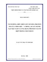 tách dòng, biểu hiện gen mã hóa protein p24 của virus hiv-1 phân type crf01_ae lưu hành tại việt nam và ứng dụng protein tái tổ hợp trong chẩn đoán