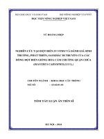 nghiên cứu tạo đột biến in vitro và đánh giá sinh trưởng, phát triển, sai khác di truyền của các dòng đột biến giống hoa cẩm chướng quận chúa