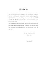 Nghiệm chuỗi của phương trình vi phân tuyến tính phức