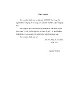 Nghiên cứu về bất biến Gauge khóa luận tốt nghiệp