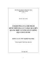 Ảnh hưởng của chế phẩm kích thích ra lá và đậu quả đến quang hợp và năng suất giống đậu cove CH 551