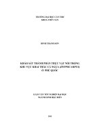 Khảo sát thực vật nổi trong khu vực khai thác cá ngựa (hippocampus) ở phú quốc