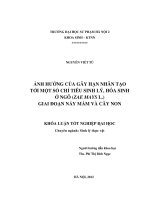 Ảnh hưởng của gây hạn nhân tạo tới một số chỉ tiêu sinh lý, hoá sinh ở ngô ( Zae Mays L. ) giai đoạn nảy mầm và cây non