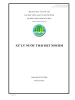 BÁO CÁO KỸ THUẬT môi TRƯỜNG xử LÝ nước thải dệt nhuộm