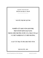 nghiên cứu khả năng hấp phụ một số ion kim loại nặng trong môi trường nước của than vỏ lạc và thử nghiệm xử lý môi trường