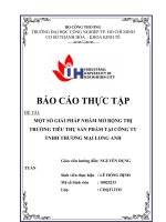 MỘT số GIẢI PHÁP NHẰM mở RỘNG THỊ TRƯỜNG TIÊU THỤ sản PHẨM tại CÔNG TY TNHH THƯƠNG mại LONG ANH