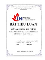 PHÂN TÍCH KHẢ NĂNG SINH lời của CÔNG TY cổ PHẦN SÔNG đà  