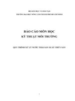 BÁO cáo môn học KỸ THUẬT môi TRƯỜNG xử LÝ nước THẢI THỦY SẢN