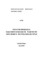 tóm tắt luận án ts y khoa tiếng anh nghiên cứu đặc điểm dịch tễ học nhiễm helicobacter pylori ở trẻ em vùng tây nguyên, việt nam