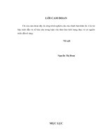 hoàn thiện đánh giá thực hiện công việc của giảng viên trường đại học sư phạm kỹ thuật hưng yên