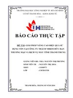 bài 6 GIẢI PHÁP NÂNG CAO HIỆU QUẢ sử DỤNG vốn tại CÔNG TY TNHH THƯƠNG mại và DỊCH vụ máy TÍNH THÀNH TRUNG