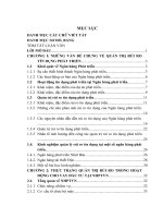 “quản trị rủi ro trong hoạt động cho vay đầu tư tại ngân hàng phát triển việt nam