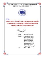 Tiểu luận môn tài chính tiền tệ THỰC TIỄN CẤU TRÚC TÀI CHÍNH DOANH NGHIỆP VÀ ĐÁNH GIÁ QUÁ TRÌNH CỔ PHẦN HÓA DOANH NGHIỆP NHÀ NƯỚC TẠI VIỆT NAM