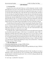 Hoạt động marketing của công ty TNHH lê hoàng