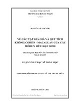 về các tập giả giá và quỹ tích không cohen - macaulay của các môđun hữu hạn sinh